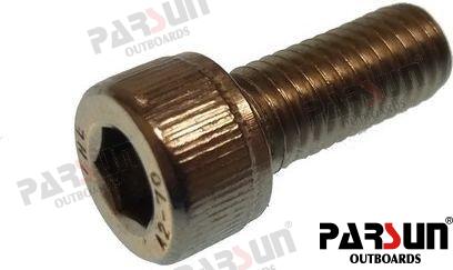 Screw M8X20 Parsun