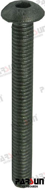 Tornillo M4X35 Parsun