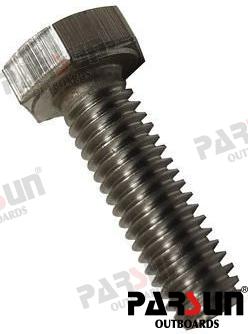 Bolt, Hexagon M6X20 Parsun