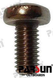 Tornillo M5X10 Parsun (Ref. PAGB/T818-M5X10)