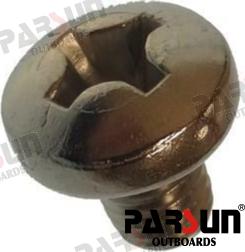 Screw Pan Head M8X10 Parsun