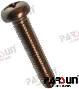 Screw Small Pan Head M6X30 Parsun
