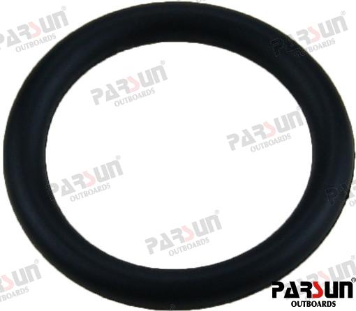 O'ring Parsun