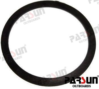 Arandela Nylon Parsun (Ref. PAT15-01000003)