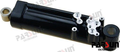 Piston Trim Completo Parsun