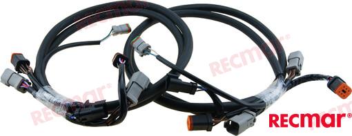 Extension Arnes 5´ OMC 176333