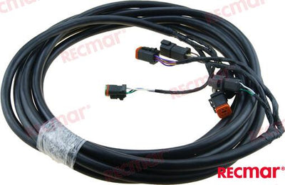 Extension Arnes 20´ OMC 176335
