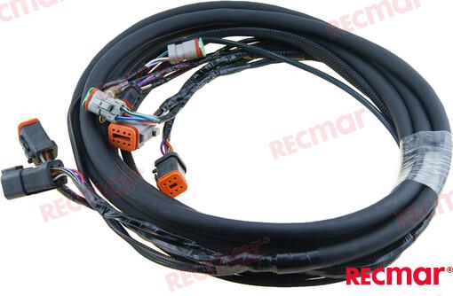 Arnes Electrico 10´ OMC 176340