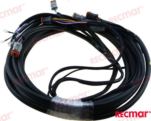 Arnes Electrico 28´ OMC 176342