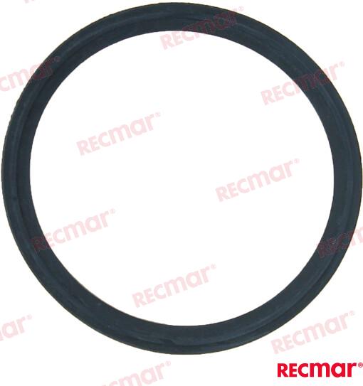 Junta Termostato Yanmar (Ref. REC119578-49110)