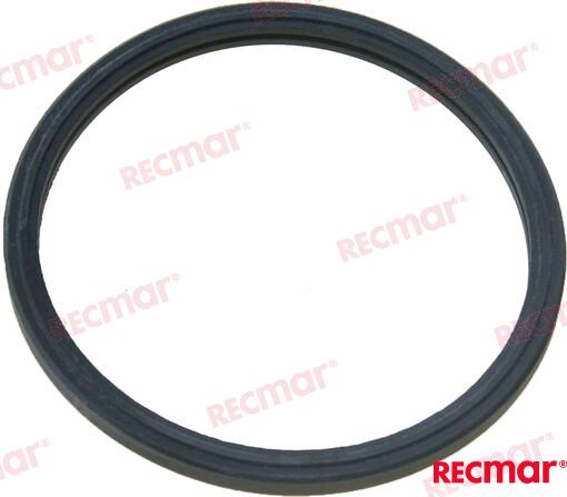 Junta Termostato Yanmar (Ref. REC119773-49570)