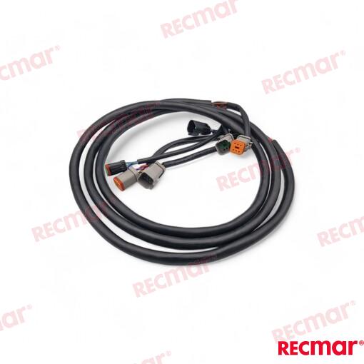 Extension Arnes 10FT (3M) OMC