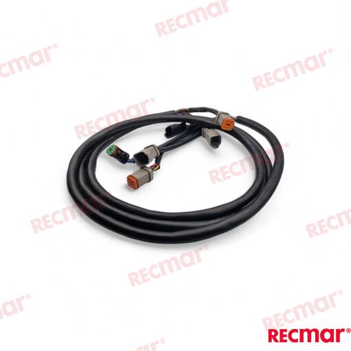 Extension Arnes 10FT (3M) OMC