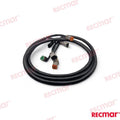 Extension Arnes 10FT (3M) OMC