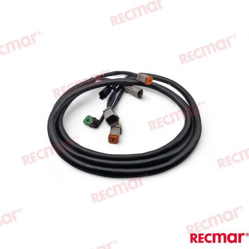 Extension Arnes 10FT (3M) OMC