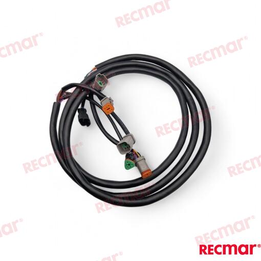 Extension Arnes 10FT (3M) OMC