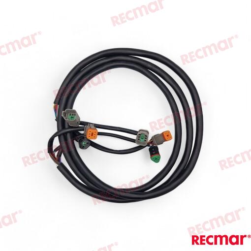Extension Arnes 10FT (3M) OMC