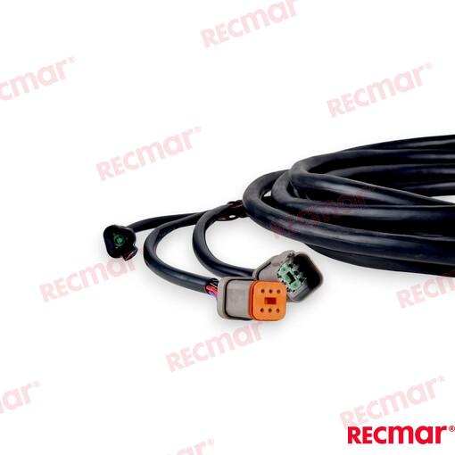 Extension Arnes 20FT (6,1M) OMC