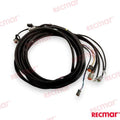 Cable De Arnés De Encendido Externo De 1 OMC (Ref. REC176339)