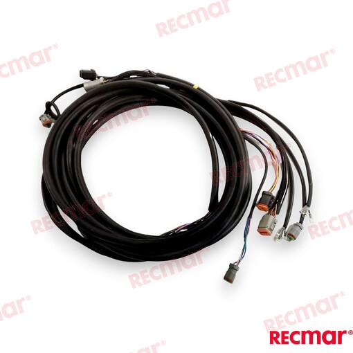 Cable De Arnés De Encendido Externo De 1 OMC (Ref. REC176339)