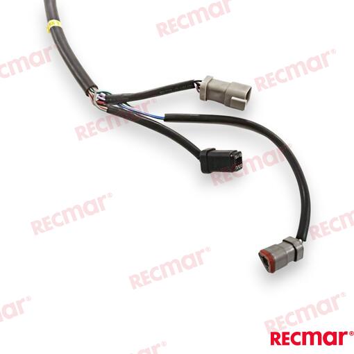 Cable De Arnés De Encendido Externo De 1 OMC (Ref. REC176339)