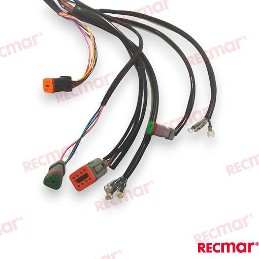 Cable De Arnés De Encendido Externo De 1 OMC (Ref. REC176339)