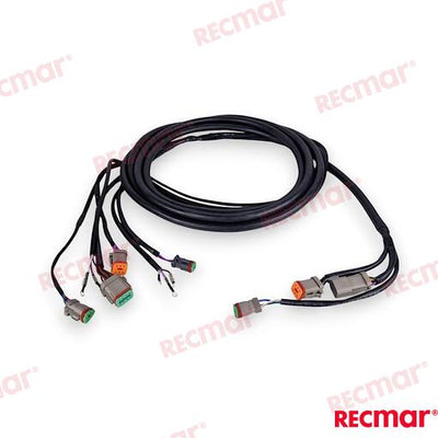 Cable De Arnés De Encendido Externo De 1 OMC (Ref. REC176340)