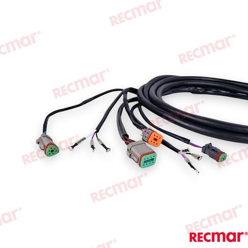 Cable De Arnés De Encendido Externo De 1 OMC (Ref. REC176340)