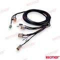 Cable De Arnés De Encendido Externo De 1 OMC (Ref. REC176340)