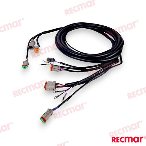 Cable De Arnés De Encendido Externo De 1 OMC (Ref. REC176340)