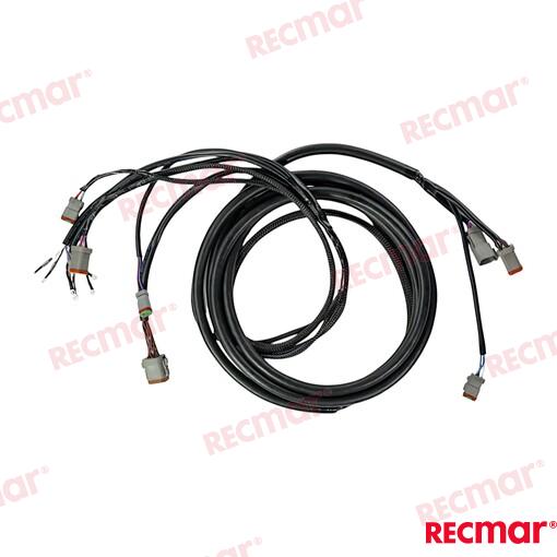 Cable De Arnés De Encendido Externo De 2 OMC (Ref. REC176341)