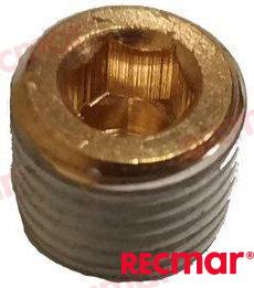 Tapon OMC 3850740