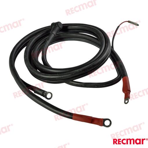 Cable De Bateria 2,5M Yamaha