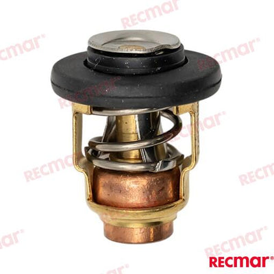 Termostato 50º-60ºC Yamaha 19300-ZY3-023