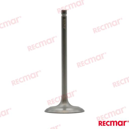 Valvula Admision 38X5.5X96.3 Yamaha