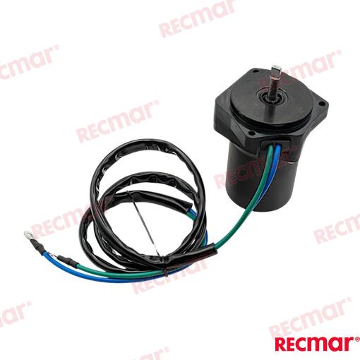 Motor De Trim Recmar
