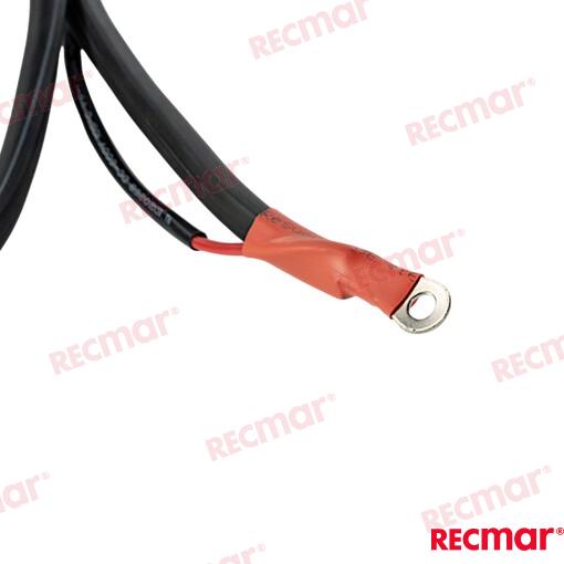 Cable De Bateria 3,5M Yamaha