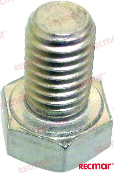 Tornillo Tapa Bomba Agua OMC 841693