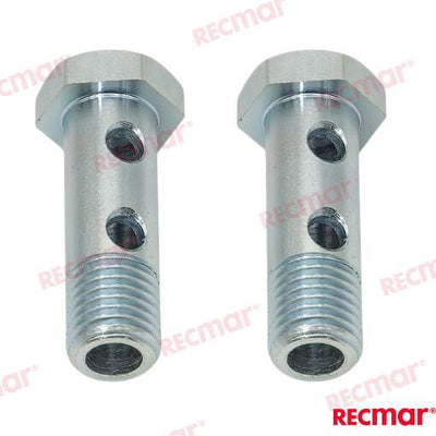 Tornillo Hueco (par) Volvo (Ref. REC947975)