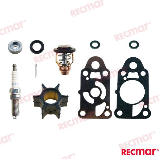 Kit Mantenimiento Mercury Recmar (Ref. RECKITMER2.5)