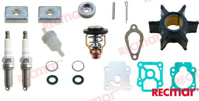Kit Mantenimiento Mercury Recmar (Ref. RECKITMER209)
