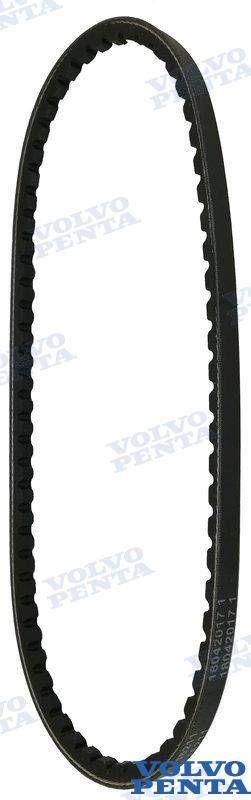 Correa OMC 978454
