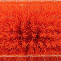 Tbrite Cepillo 240X155MM Naranja Medio