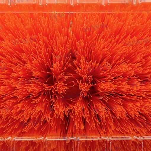Tbrite Cepillo 240X155MM Naranja Medio