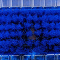 Tbrite Cepillo 240X155MM Azul Ultra Suav