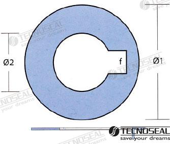 Arandela Inox Radice Zinc Eje 30 Tecnoseal