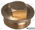 Tapon Anodo 00716 Diam. 25MM. Tecnoseal