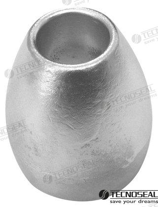 Anodo Timon Mercury Zinc Bravo Iii Tecnoseal