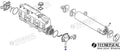 Anodo Yanmar Dia 20 L.20 M8 Zinc Tecnoseal 27210-200200
