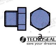 Tapon Anodo Yanmar Zinc Tecnoseal